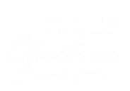 Organizing to be Effective. LLC